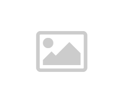 揭秘尊龙凯时官方成功案例：通往成功的关键方法与策略