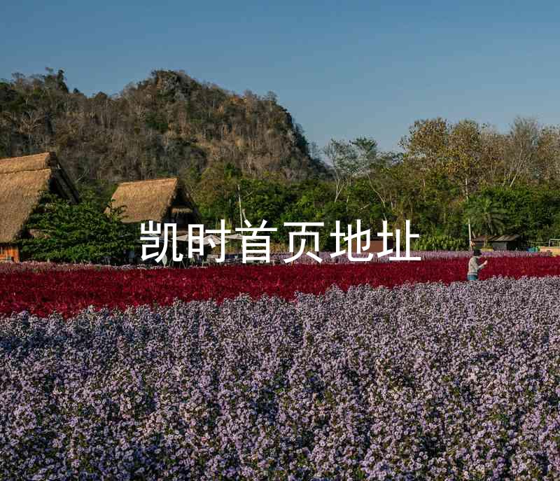 凯时首页地址